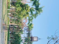 -厦门园林博览苑