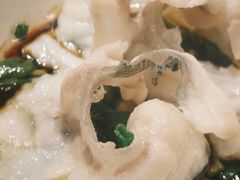 新鲜脆肉皖鱼片-红日饭店(裕隆三路店)