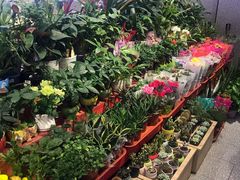 -物美超市(金宝街店)