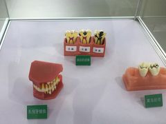 -宁波口腔医院(月湖分院)