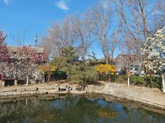 -三里河公园