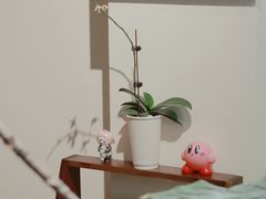 -echoes coffee回响咖啡(红山店)