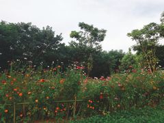 -盘龙城国家考古遗址公园