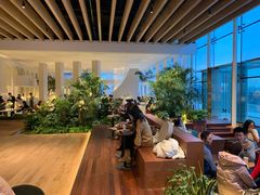 -Seesaw Coffee(朝阳大悦城店)