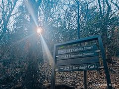 -上海佘山国家森林公园西佘山园