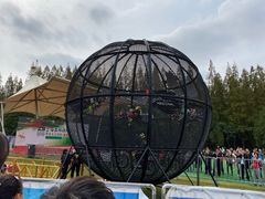-东平国家森林公园