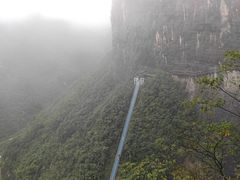 -鹿院坪生态旅游景区