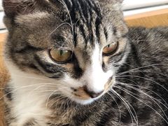 -平行世界·猫咖(首经贸店)