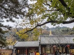-潭柘寺景区