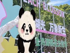 -金鸡湖桃花岛