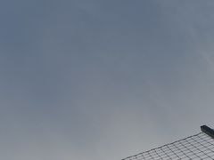 -五卅路体育馆