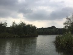 -梁鸿国家湿地公园