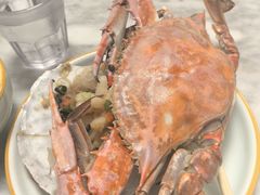 -日丰园海肠水饺·老字号大连海鲜(小平岛总店)