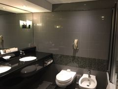-新加坡乌节希尔顿酒店 (SG Clean)
