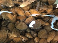 -沿海渔家院蒸汽海鲜·东北菜(东戴河店)