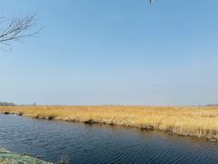 -野鸭湖国家湿地公园