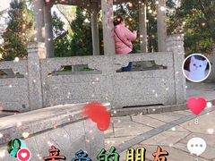 -玲珑塔公园