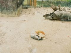 -无锡动物园·太湖欢乐园