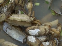 -财良快餐(邱隘店)