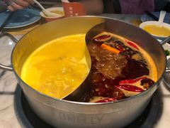 -澳美徕·港式花胶鸡火锅(高新万达店)