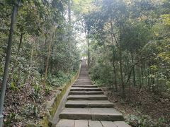 -缙云山景区