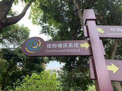 -成都市活水公园