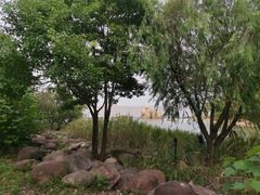 -上海吴淞炮台湾国家湿地公园