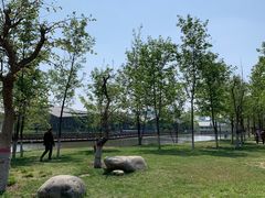 -西安浐灞国家湿地公园