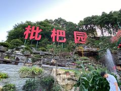 -枇杷园食为鲜火锅(南山店)