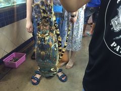 -班赞海鲜市场