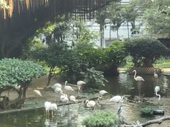 -九龙公园