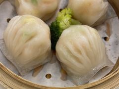 -圣丰城酒家·宴会(宝安大仟里店)