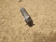 -清风小镇闯关东影视基地