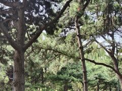 -北陵公园