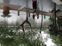 iphone_upload_pic-文瀛公园