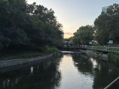 -黑龙江省森林植物园