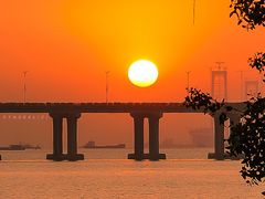 -宝安西湾红树林湿地公园