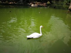 -昆明动物园