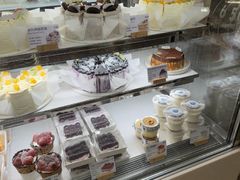 -夏佐CHASEL(横店康庄路店)
