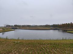 -春花秋色城市公园