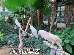 -南宫五洲植物乐园