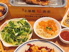 -福苗小骆驼烧烤(莲湖路店)