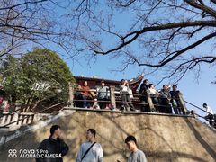 -溪口-滕头旅游景区