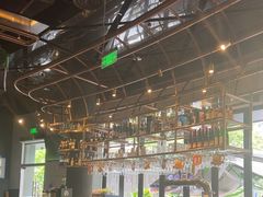 -haxnbauer海森堡德国餐厅(深圳coco店)