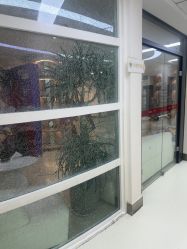 点击看大图 -JUVA郑州欧华医疗美容医院