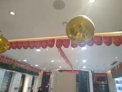 -爱维丽