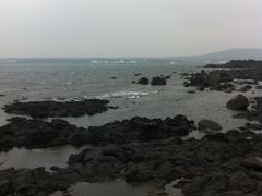 -涉地可支
