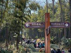 -青龙山国家森林公园