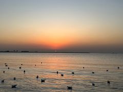 -金梦海湾浴场