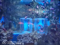 -北京稻香村(田村店)